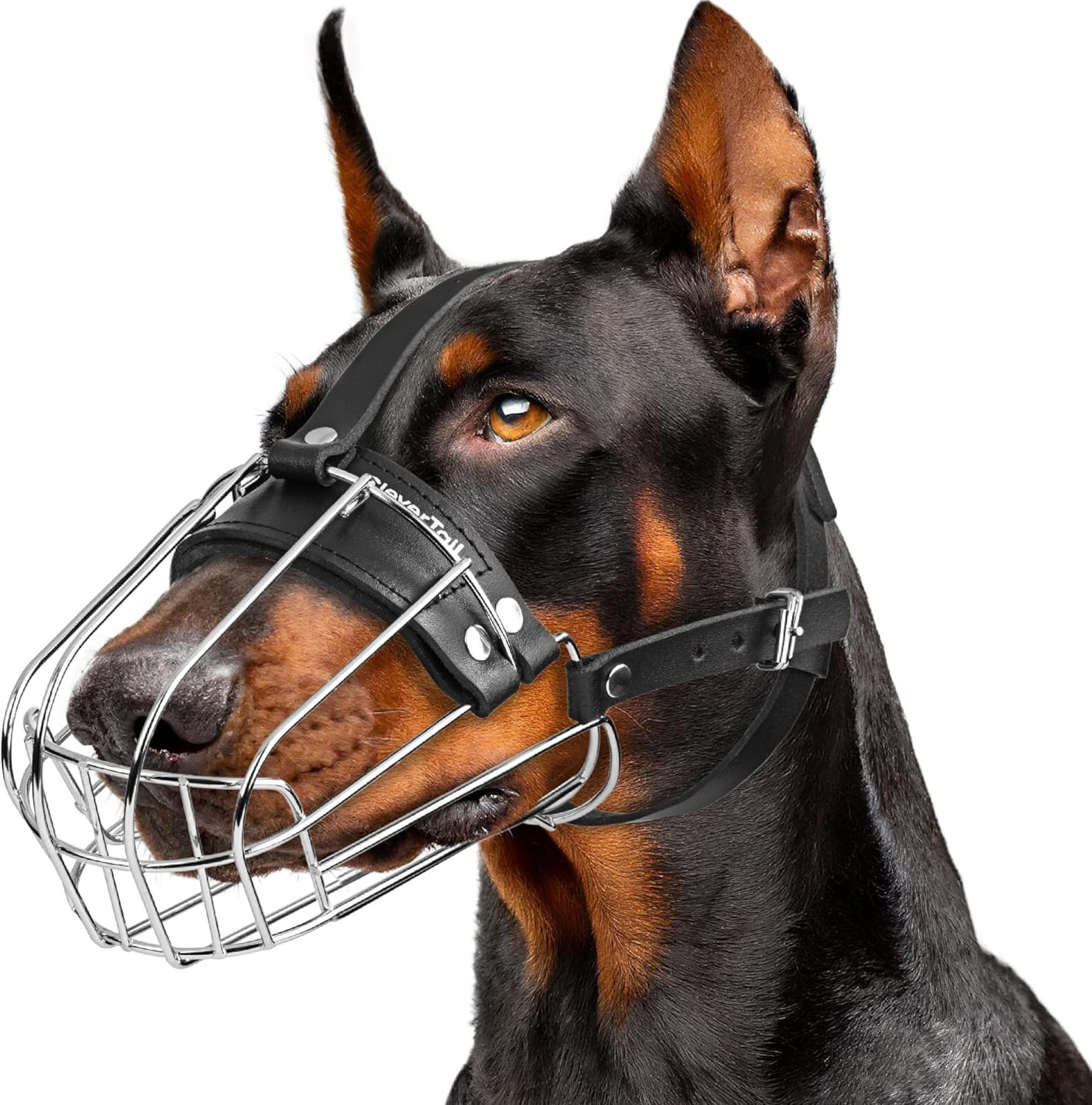 Metal Doberman Muzzle for Large Sized Dog - Cage Muzzles for Barking and Prevent