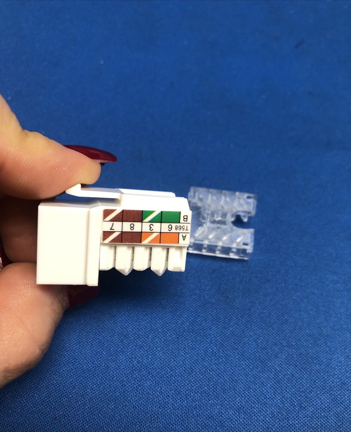 (10/pack) RJCK UTP CAT5e Keystone Jack Inline Coupler White