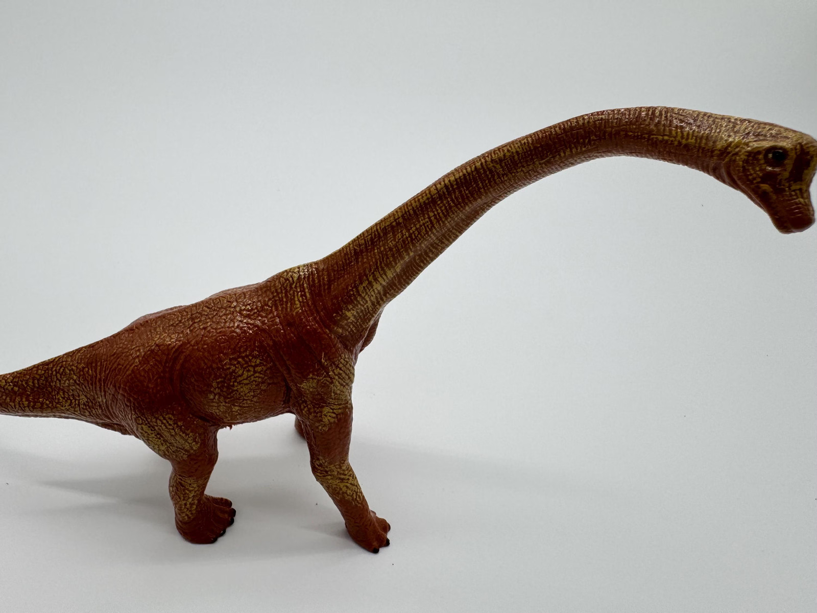 Brontosaurus Aquarium Decor