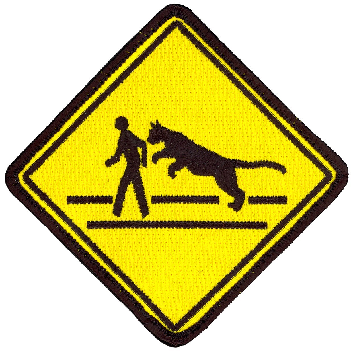 USAF 489th RECONNAISSANCE SQUADRON PATCH - COUGAR CROSSING