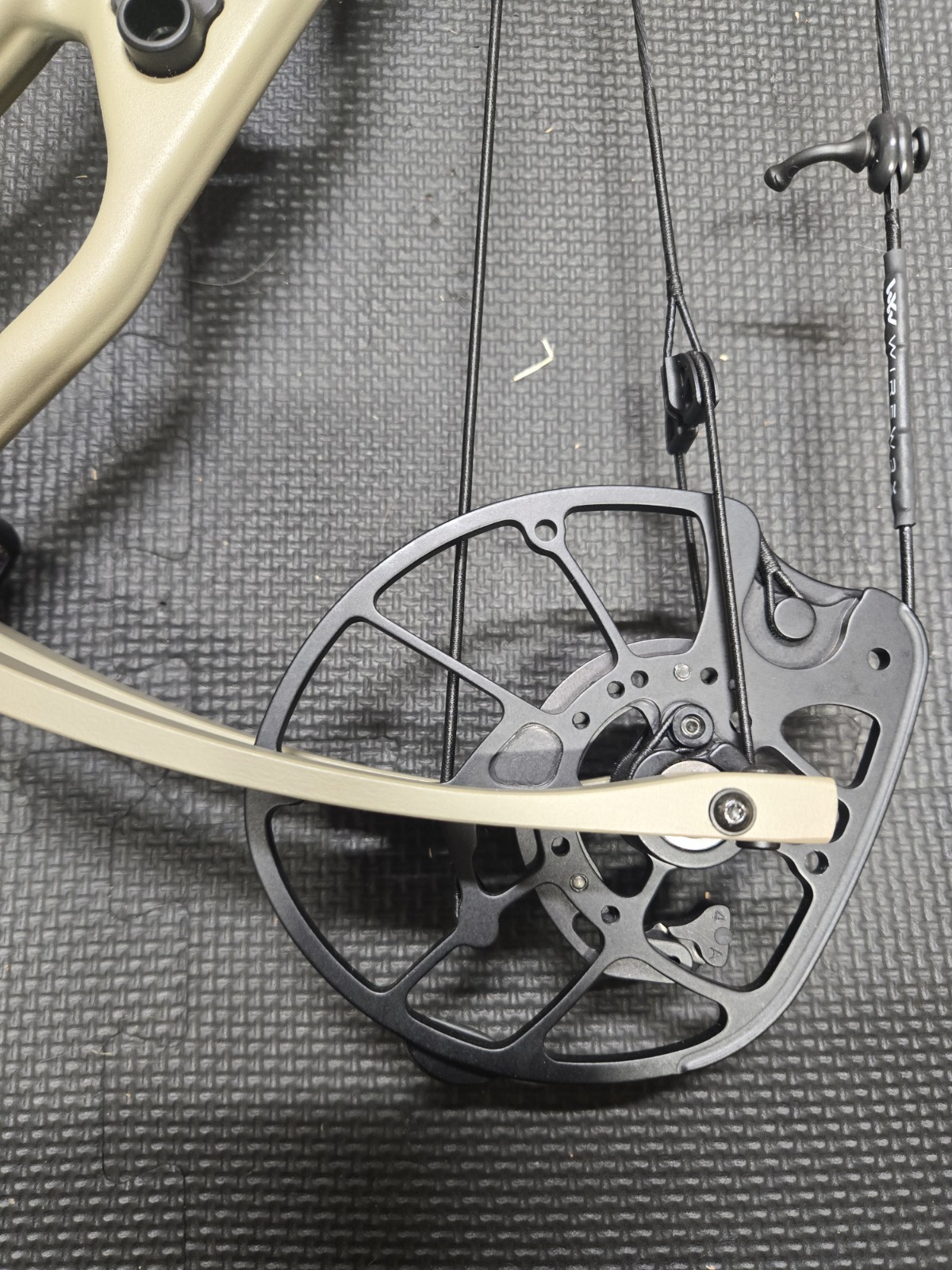 Hoyt Rx10 Ultra