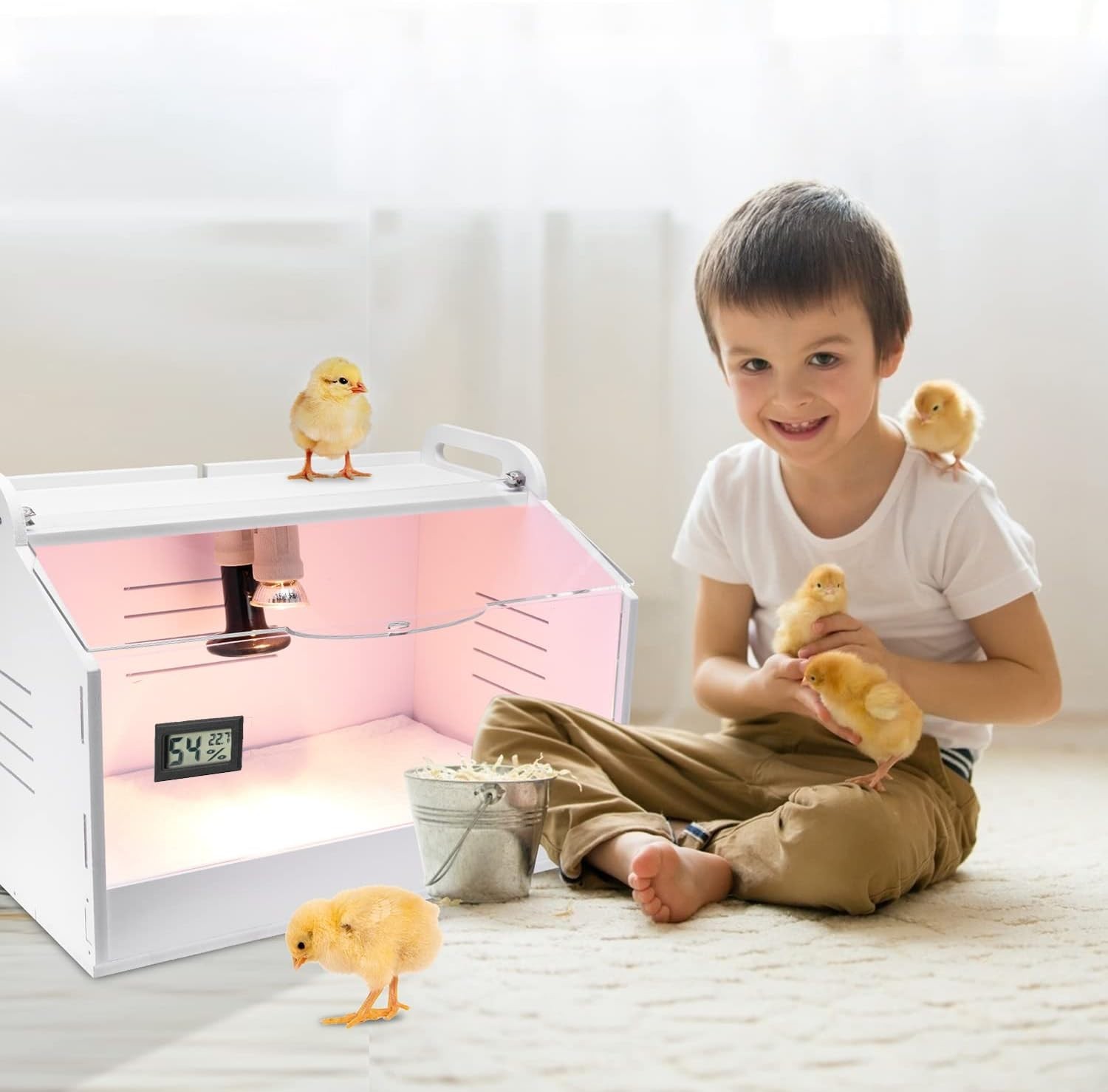 Intelligent Chick Brooder Box with Heat Lamp & Digital Temp Display Starter Kit