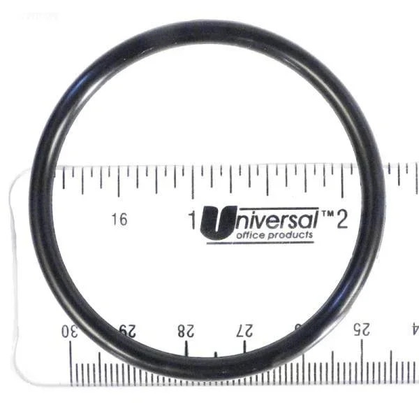 Gasket, Bulkhead Adaptor