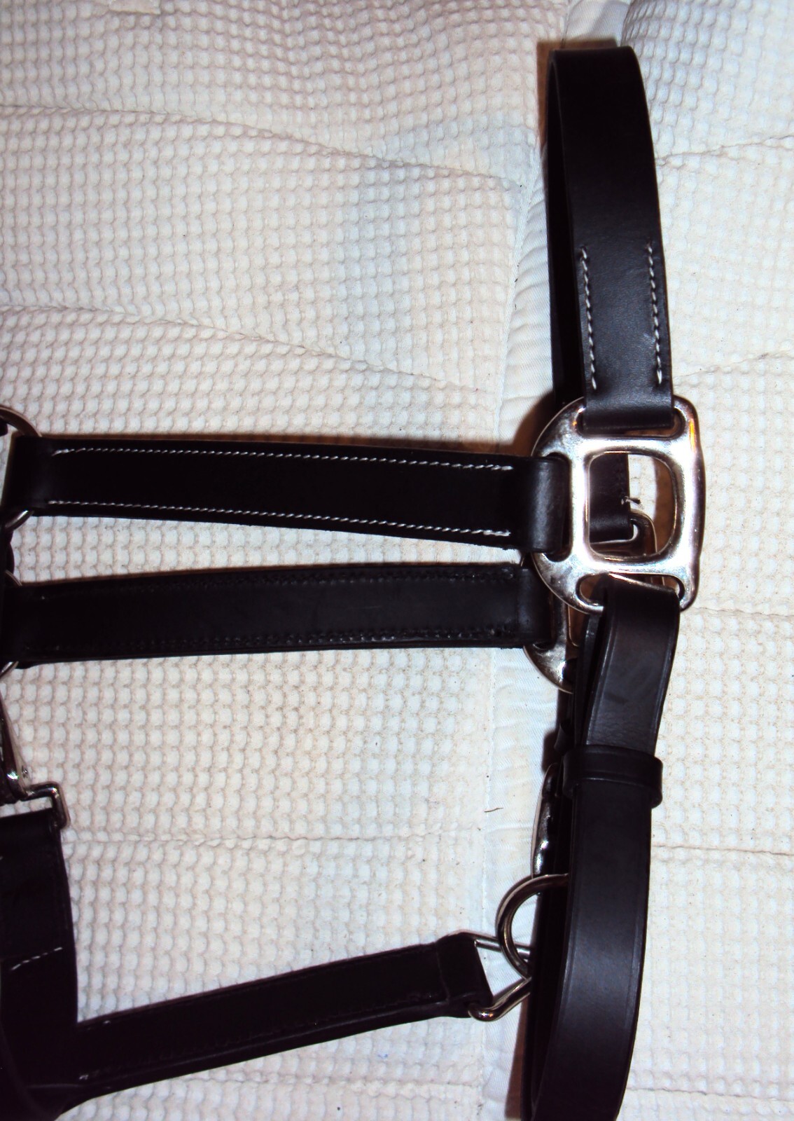 ABETTA Leather BLACK Halter- Silver Hardware/Snap - Adjustable - Full Size - NEW