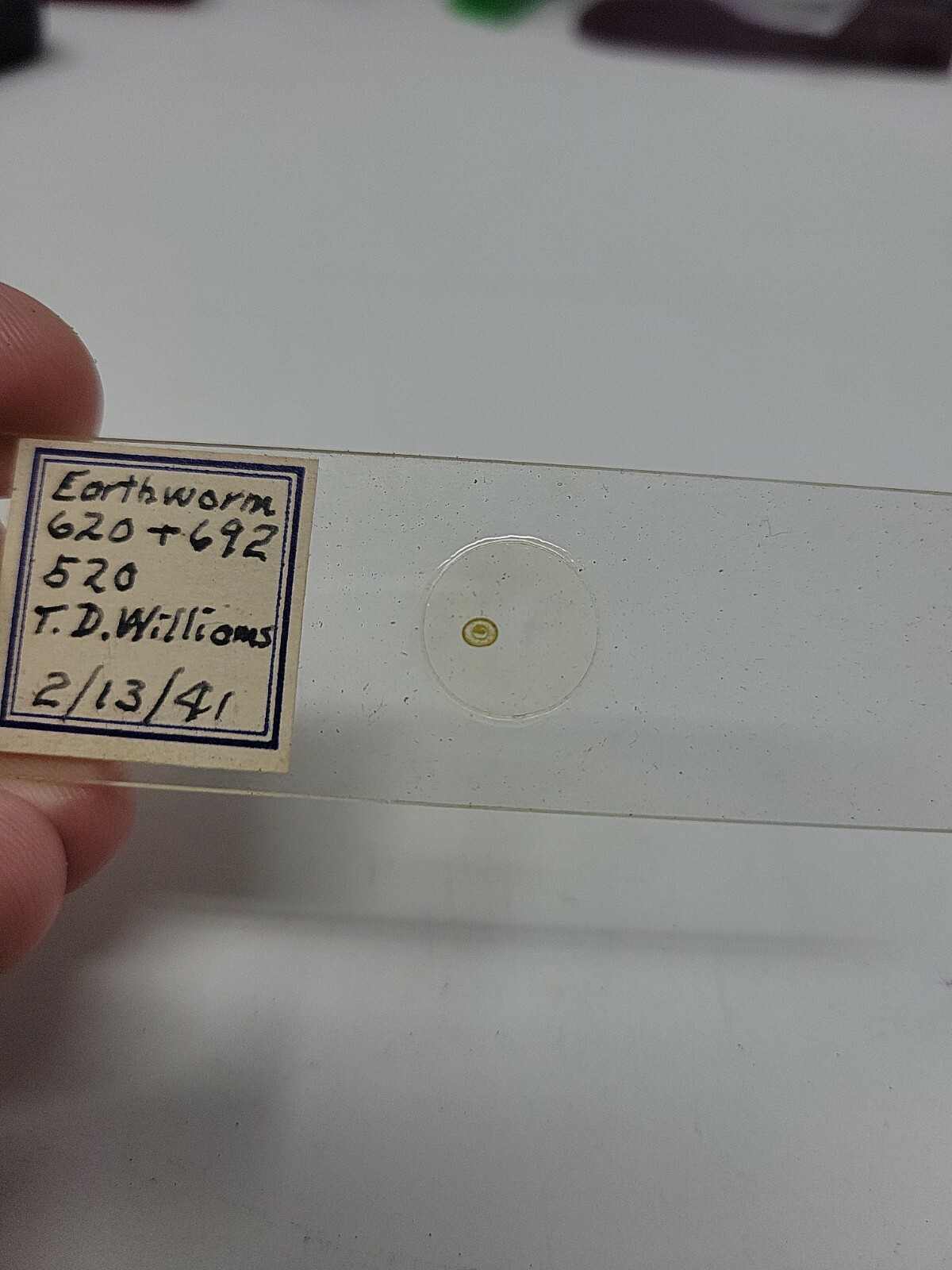 Vintage Microscope Slide 1941