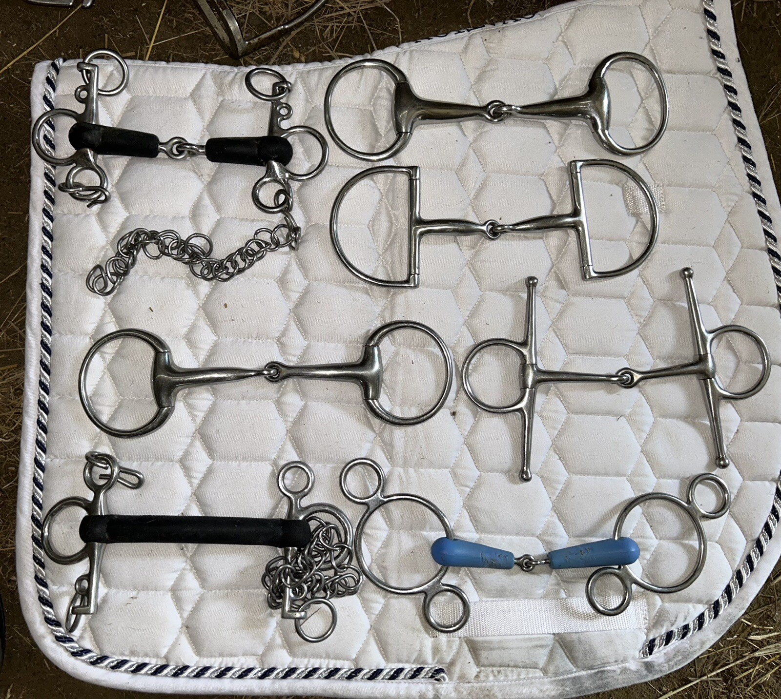 equine bits