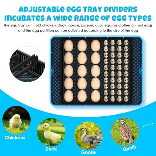 25 Egg Digital Incubator Machine with Automatic Turning, Temp & Humidity Control
