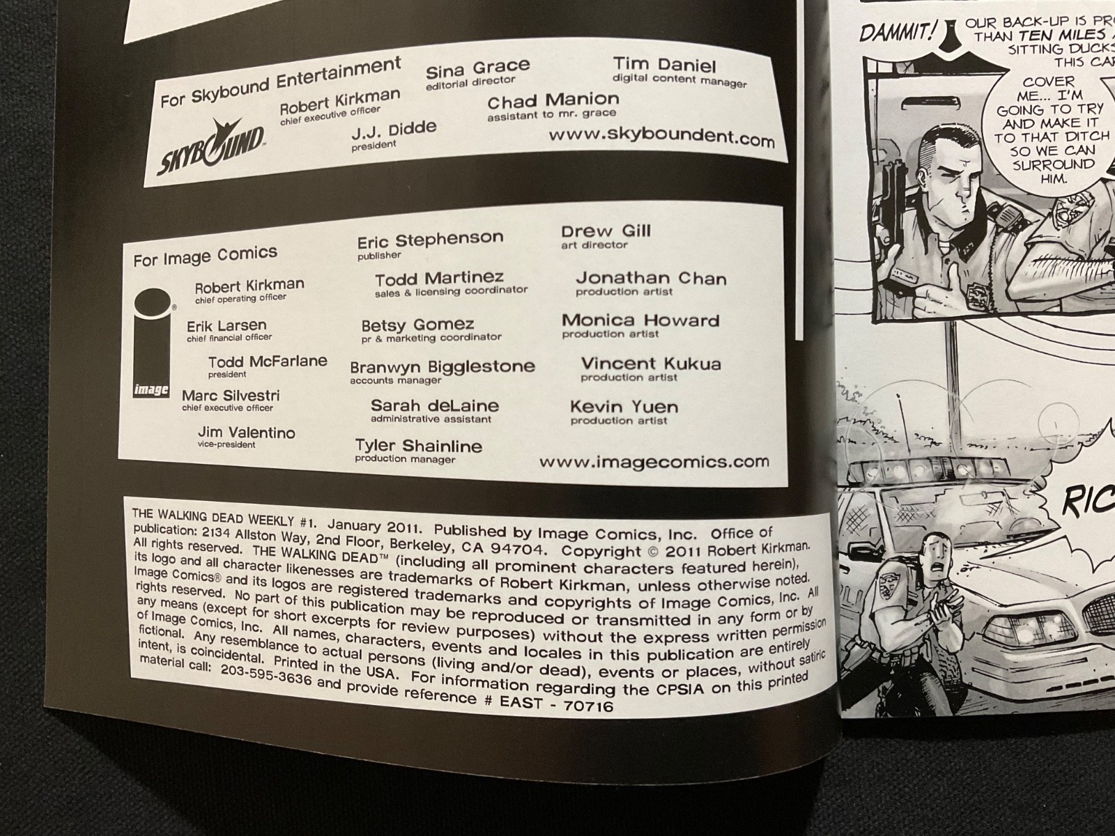 Walking Dead Weekly - Image Comics 2011 - You Pick !