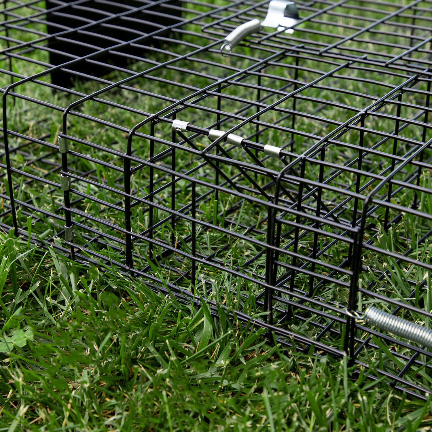 Rugged Ranch Squirrelinator Live Squirrel Chipmunk Metal 2 Door Cage (Open Box)