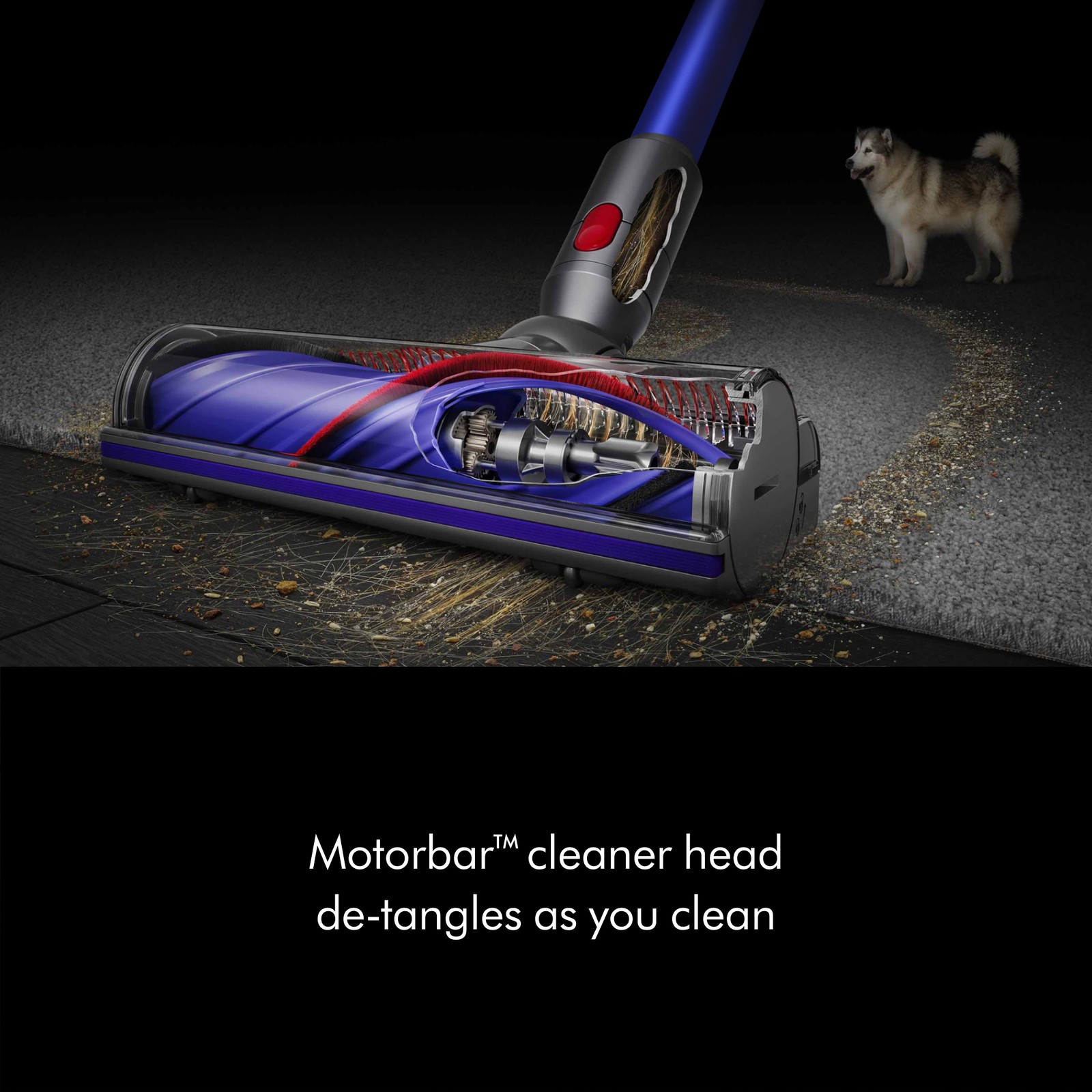 Dyson V11 Cordless Vacuum Cleaner | Iron/Blue | Refurbished