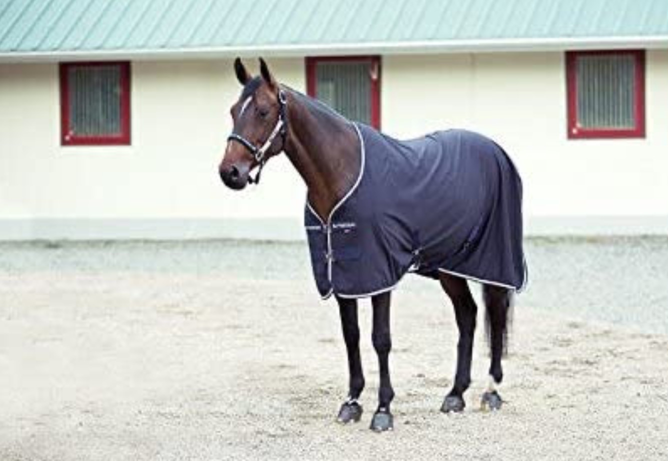 Wilson Multifunctional Thermo Rug Size:140  (24312-VDP-140)