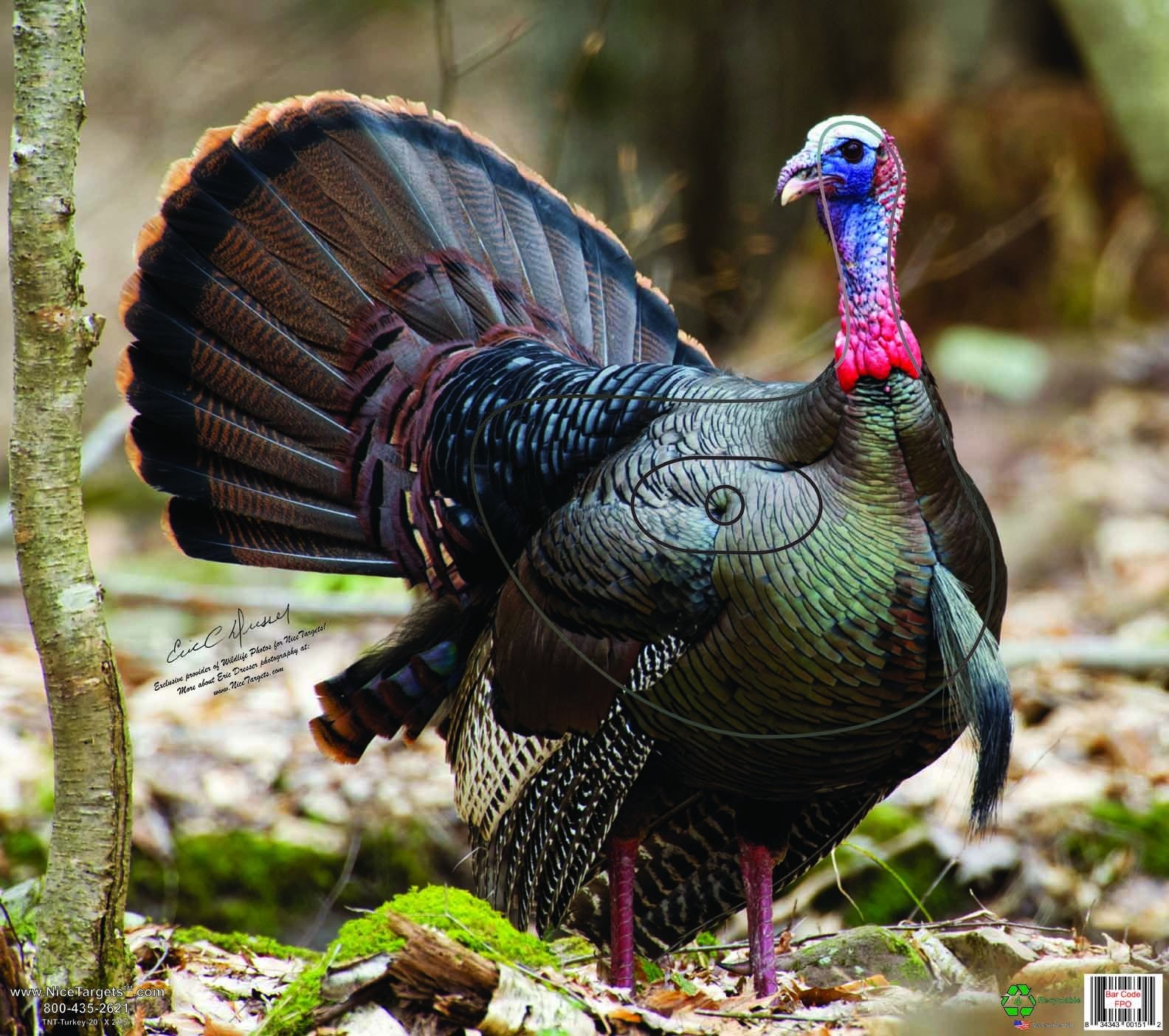 Turkey Archery Target, 20" x 22.5" Photorealistic Life Size Plastic Animal fo...
