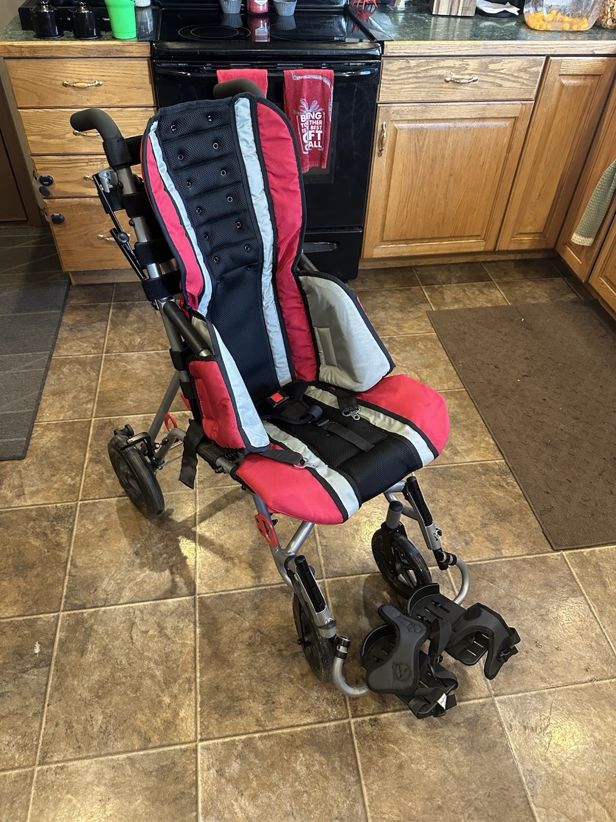 Inspired by Drive Trotter Pediatric Specialty Stroller with Footrest