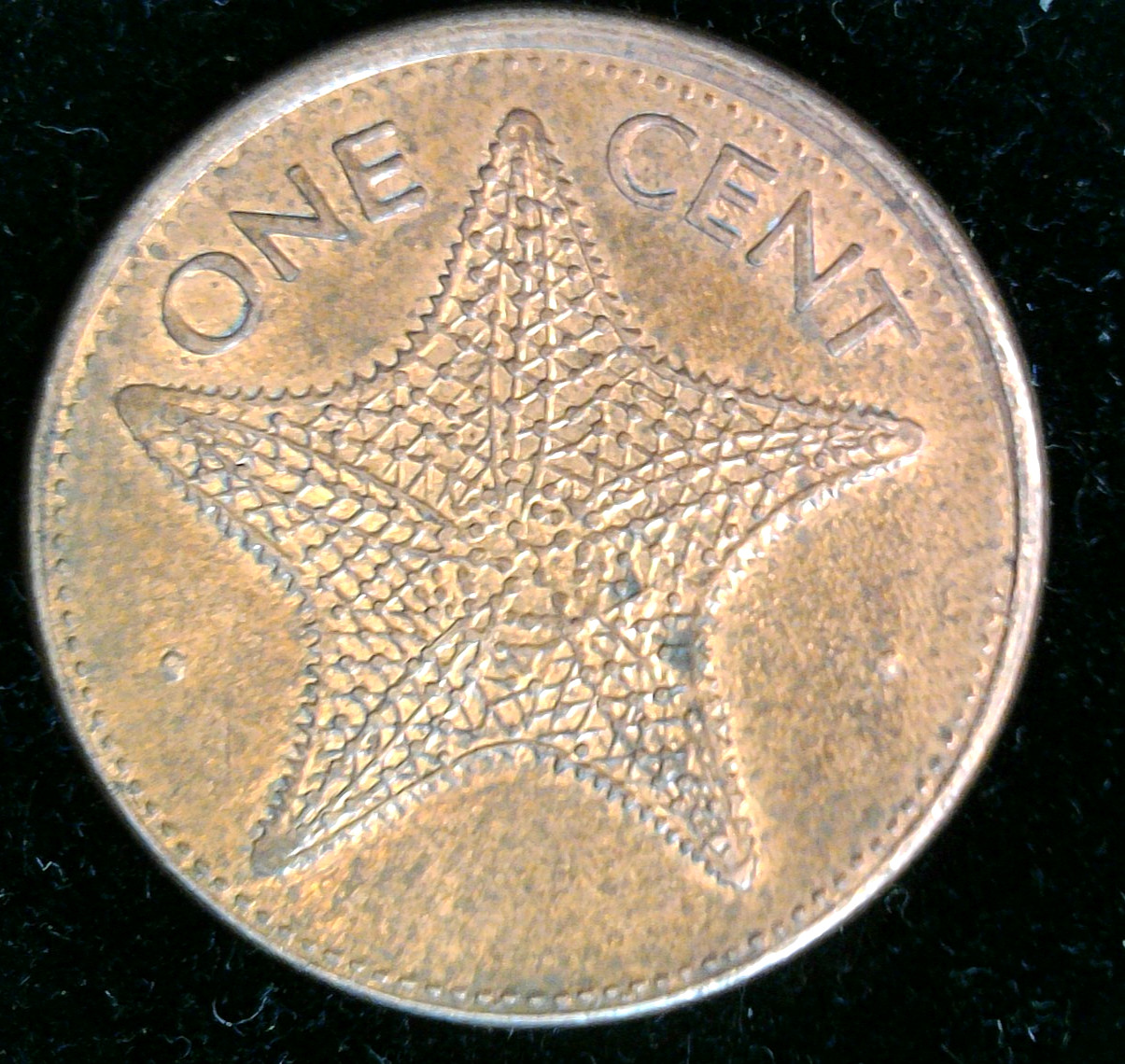 1997 Starfish penny