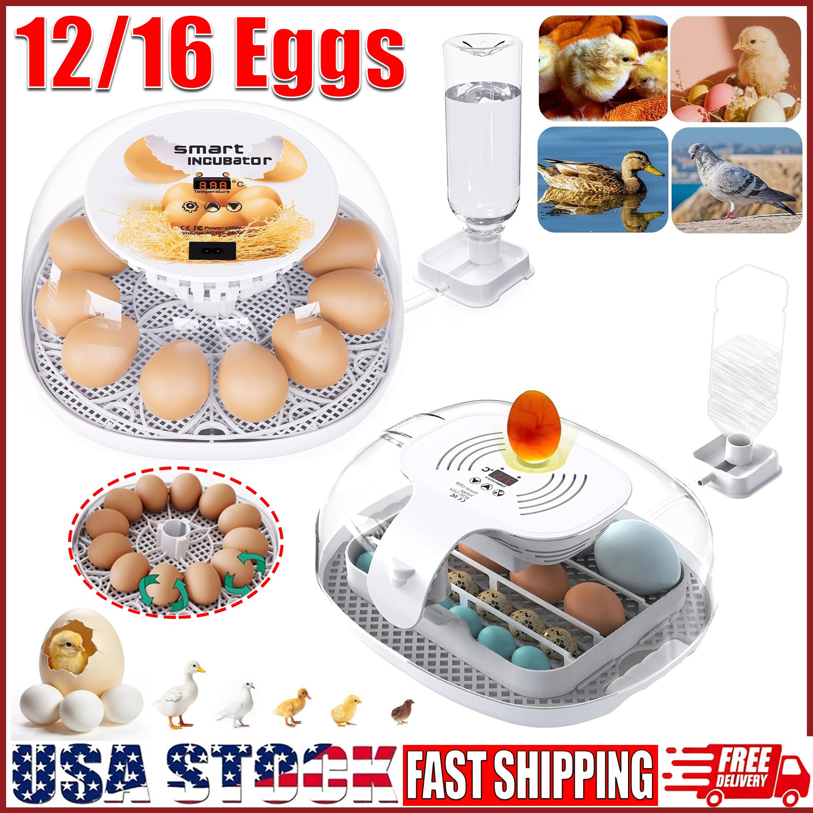 12/16 Eggs Incubators Farm Poultry Hatcher Machine with Automatic Egg Turning US