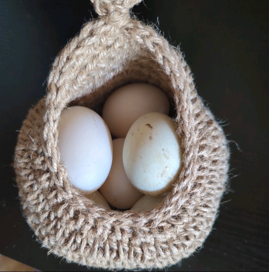 6 Duck Hatching Eggs- Domestic Barnyard Mix