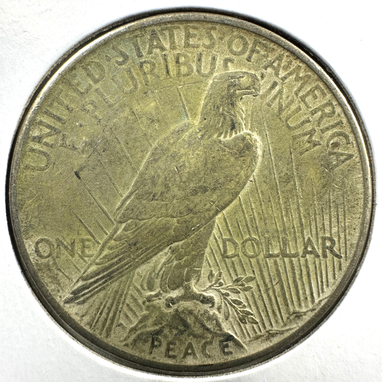 1925 $1 Silver Peace Dollar (89565)