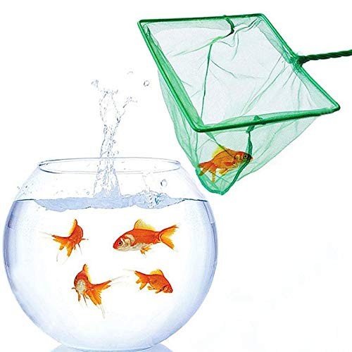 2 Pack Aquarium Fish Nets, 4 Inch Small Mesh Fish Catch Nets with Plastic Handle