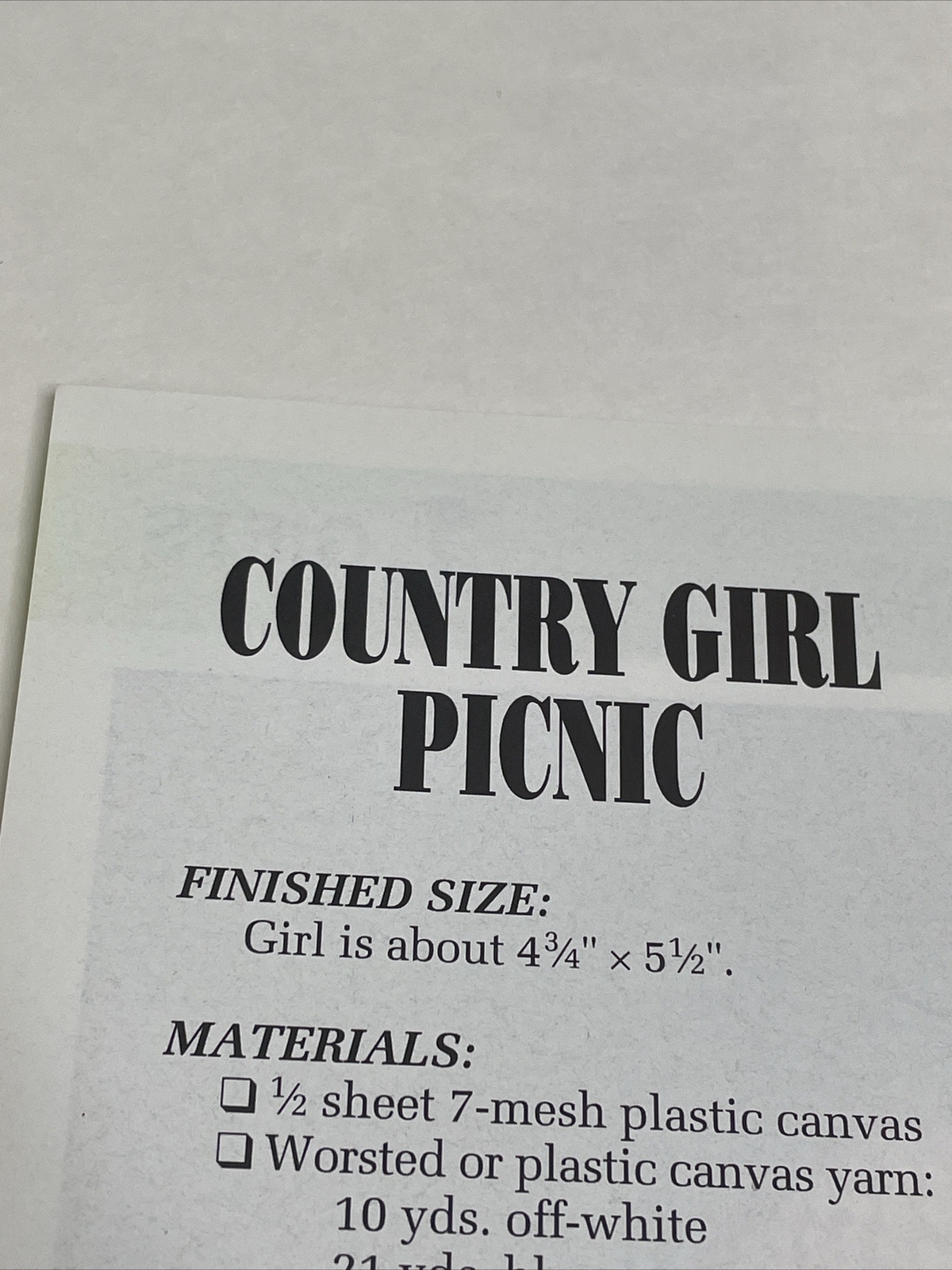 County Girl Picnic Annie's Attic Plastic Canvas Pattern