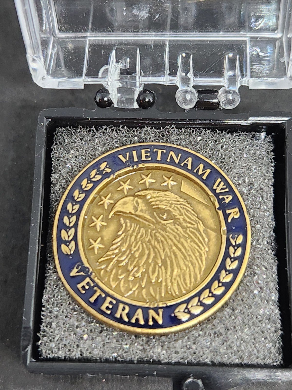 Vietnam War Veteran Pin With Case
