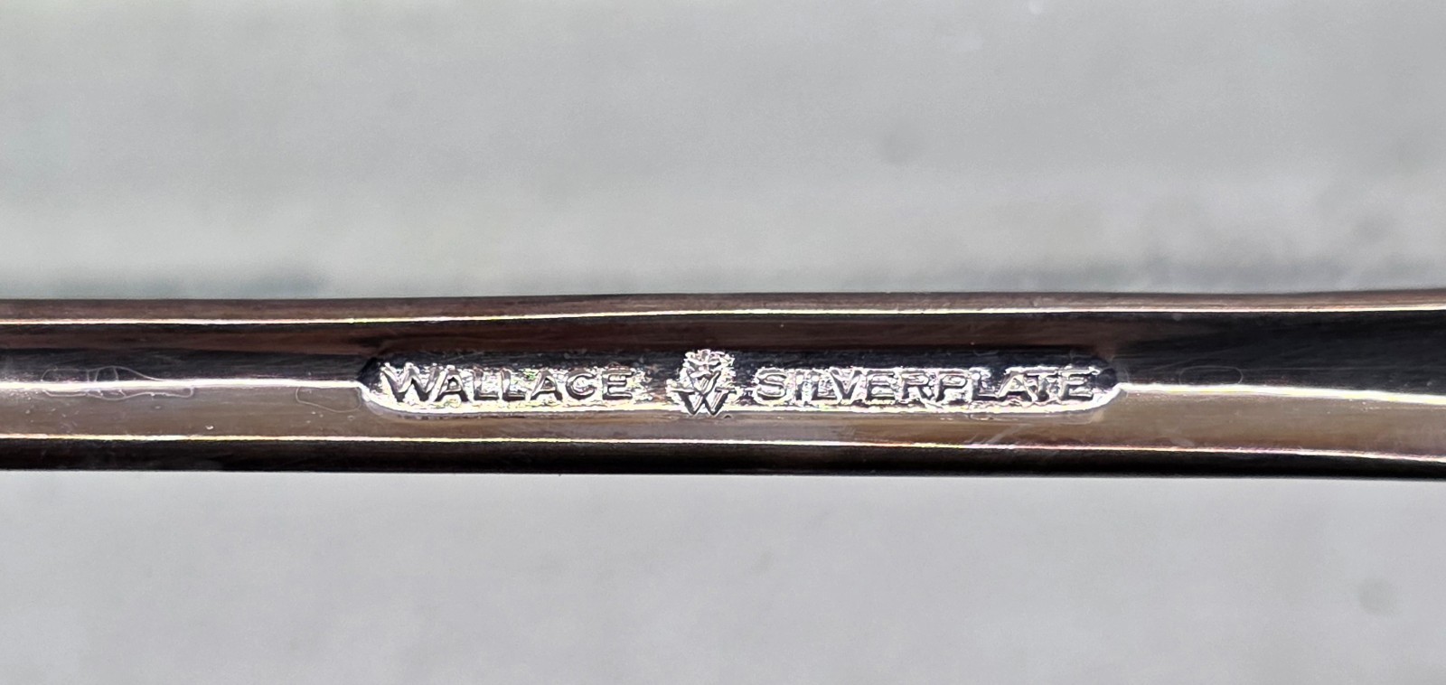 Vintage Wallace Silverplate Serving Spoon Unisex OS Basting Platter Flatware