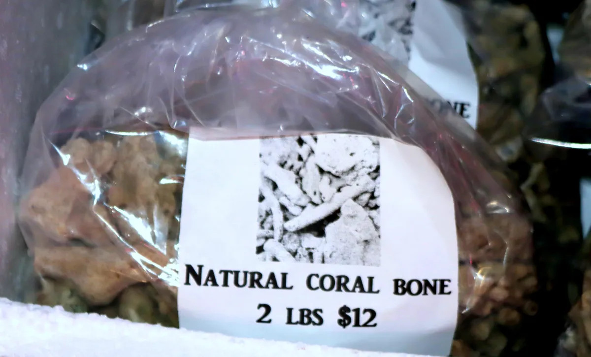 2 LBS NATURAL CORAL BONE