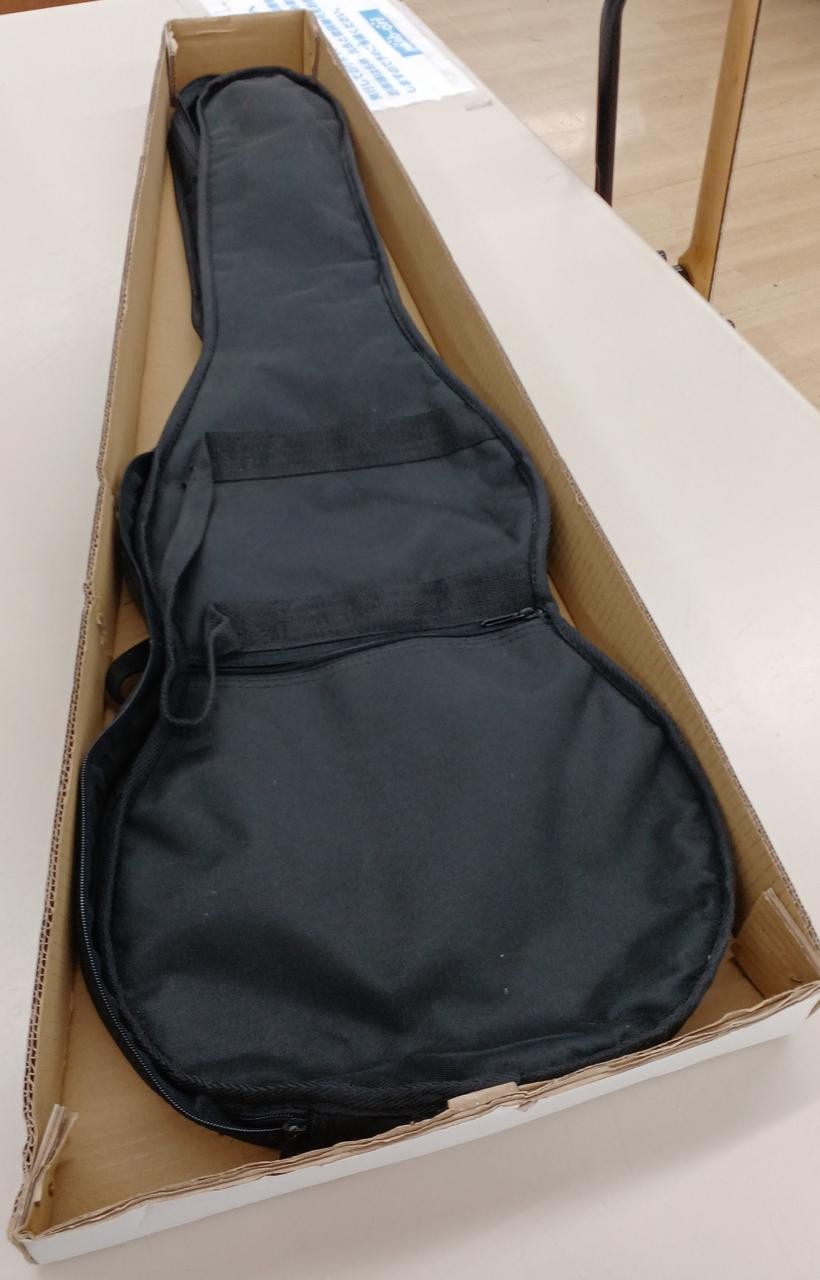 DISNEY DEG-2 MB Electric Guitar-01