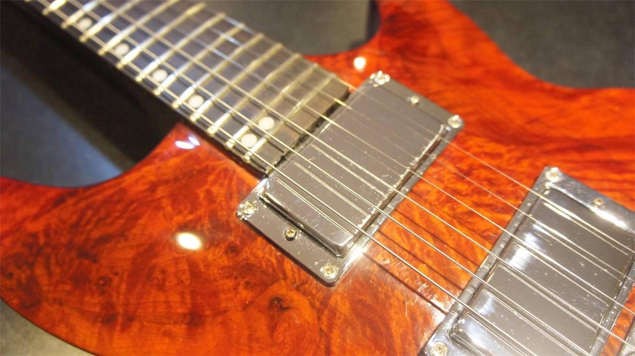 BIG BIRD- HANDMADE HUMBUCKER SIZED FIREBIRD PICKUP SET
