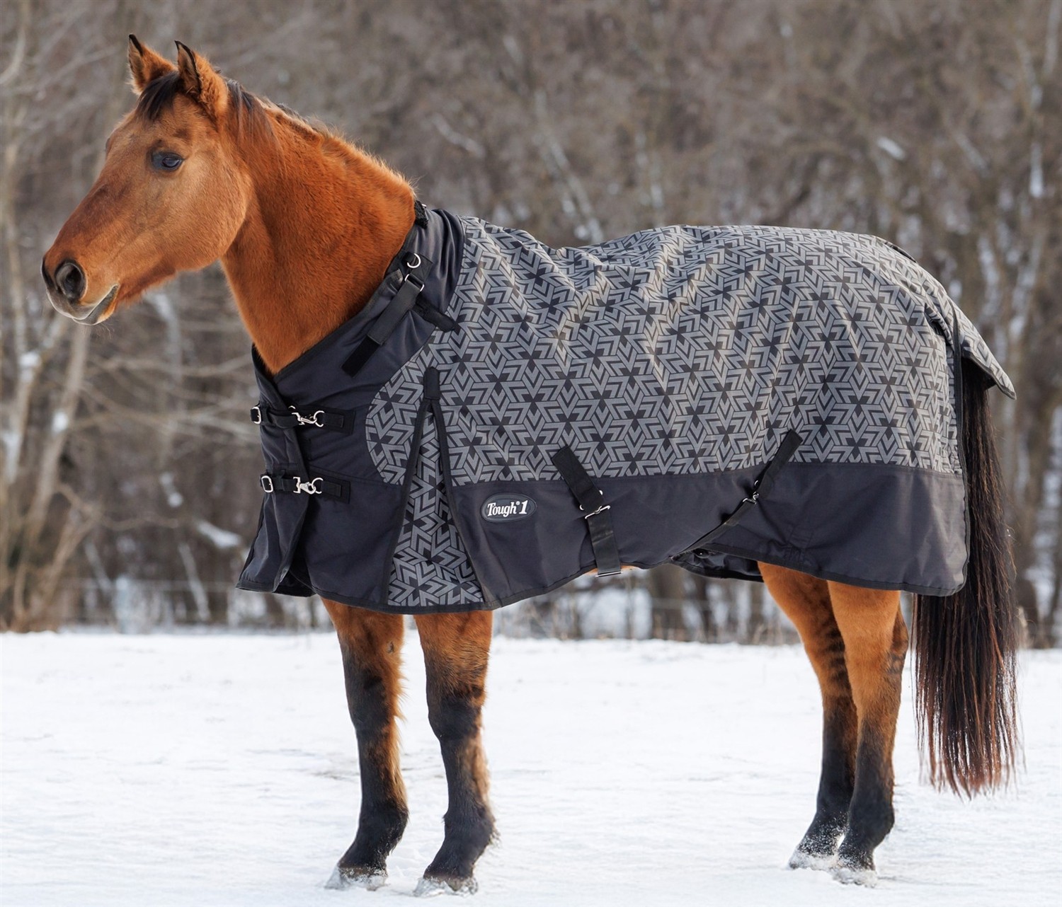 Winter Turnout Blanket - 1200D - 250 Gram - Reflective - Sizes 69" to 84"