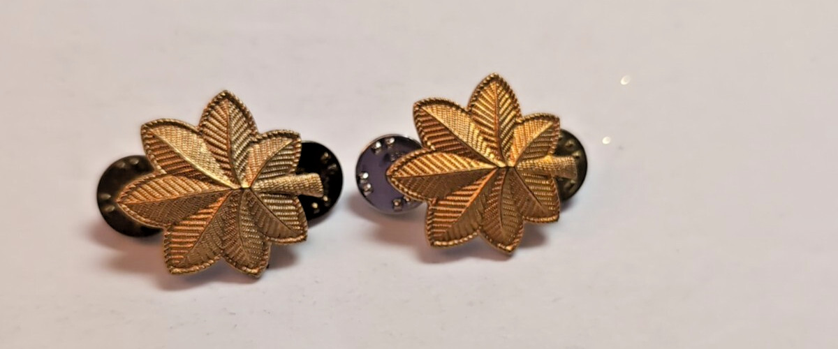 US Military army vintage Oak Leaf Officer Rank Military insignia pinback pin