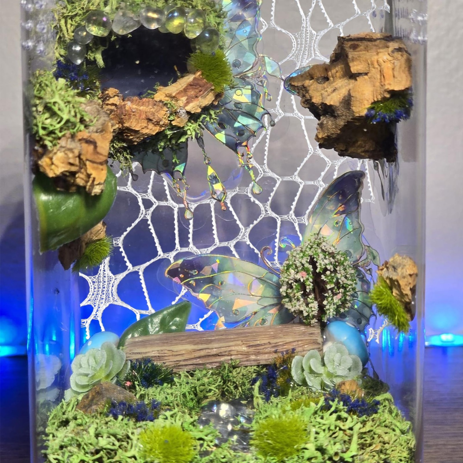 Jumping Spider Enclosure Accessories 4 PCS Jumping Spider Netting with Magnet...