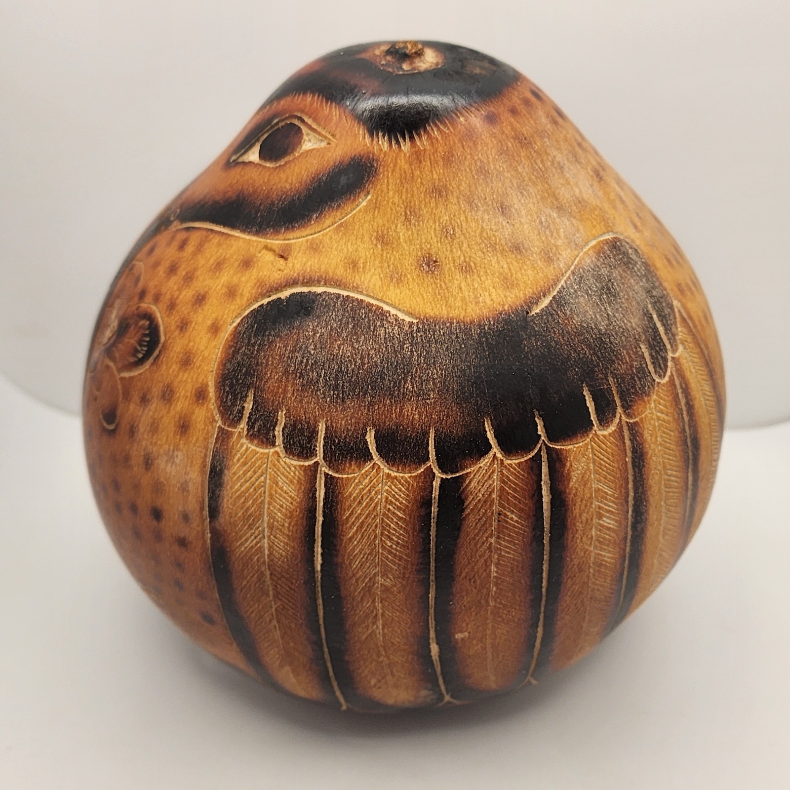 Peruvian Folkart Gourd Handmade Musical Shaker LG Bird Kingfisher 7.5IN W
