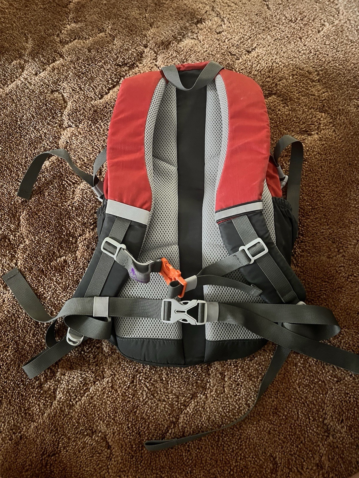 Mountaintop Day Pack