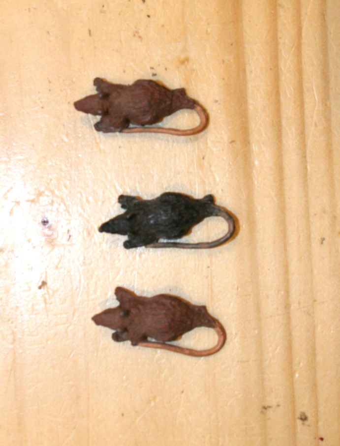 Warhammer GW Citadel 1980s AD&D Fiend Factory Fantasy FF38-1 Giant Rats x 3