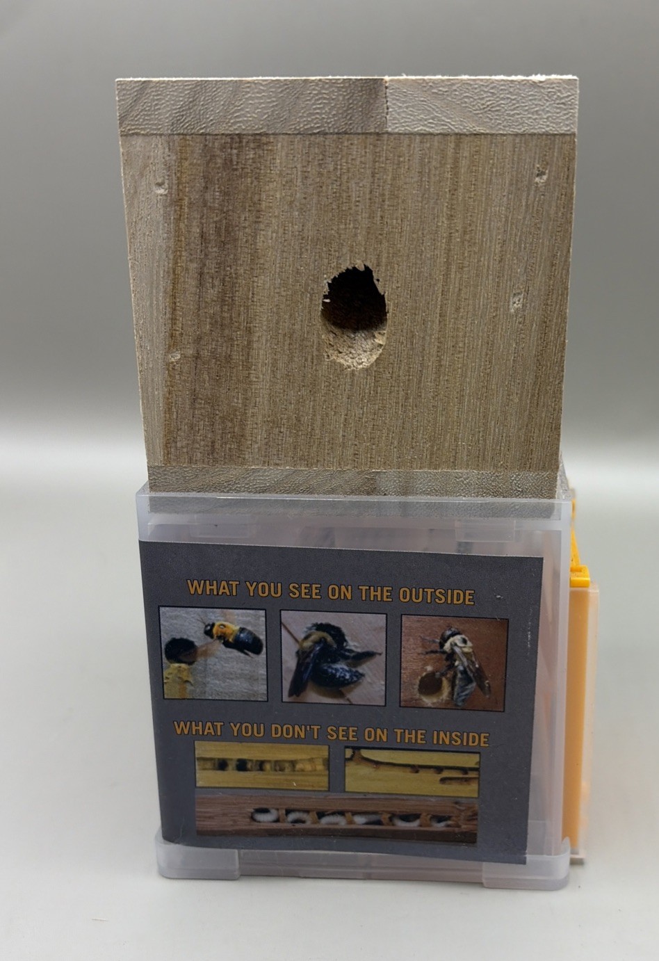 Bees 'N Things Outdoor Carpenter Bee Traps, NEW