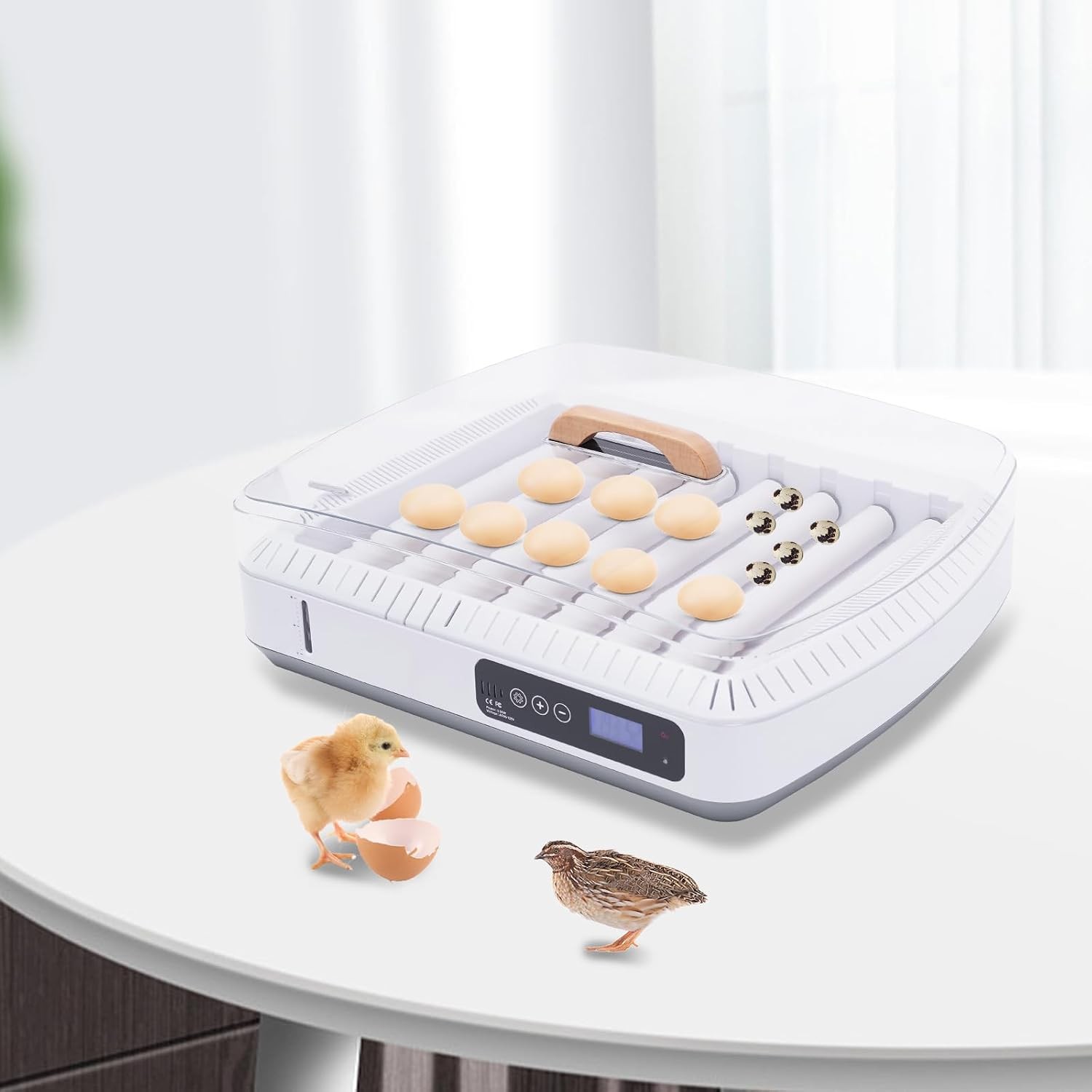 Automatic Egg Hatching Incubator, 35 Eggs Poultry Hatching Machine