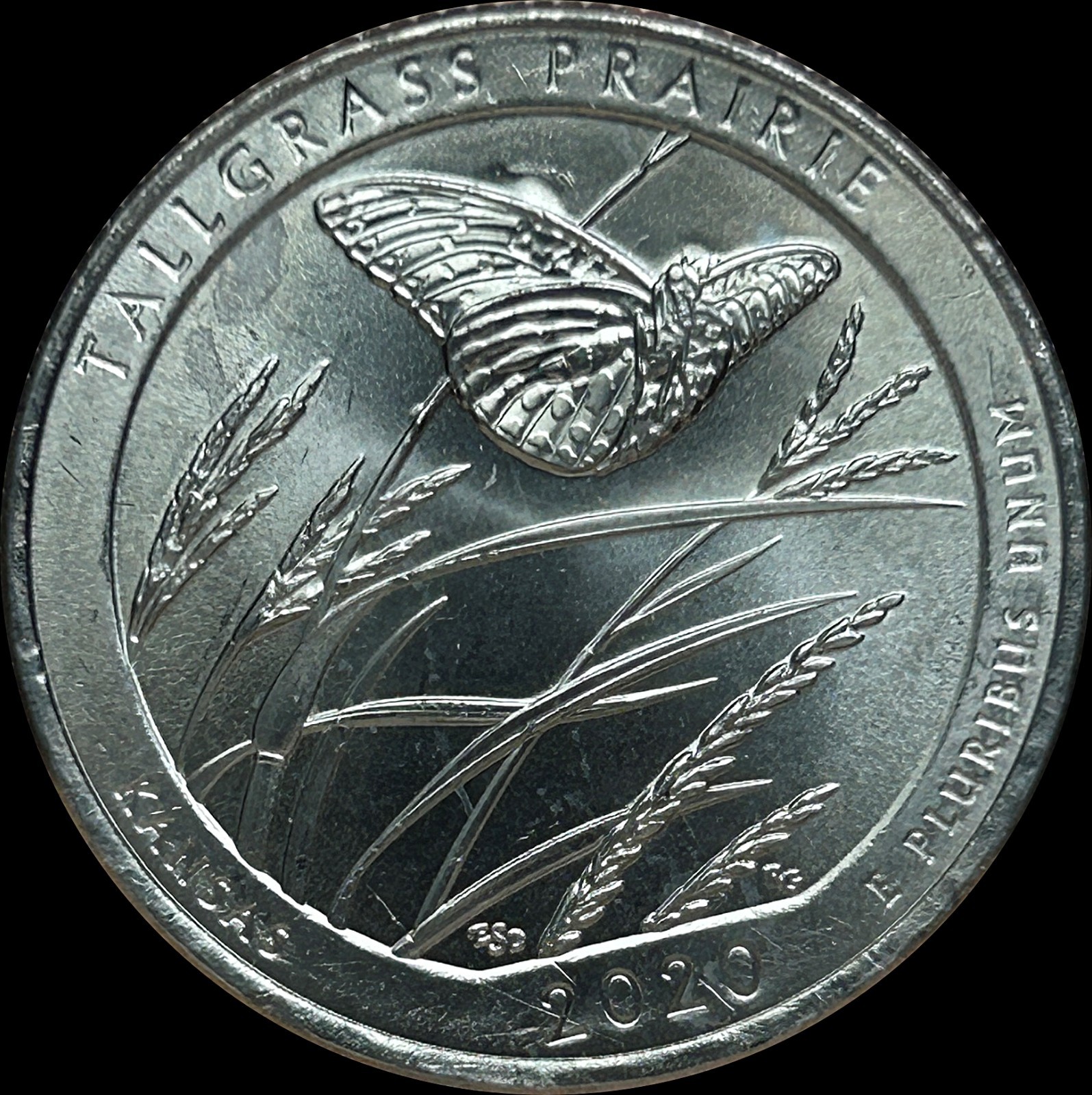 Die Break & Chips Errors - 2020 Tallgrass Prairie ATB Quarter - On Wing & Head