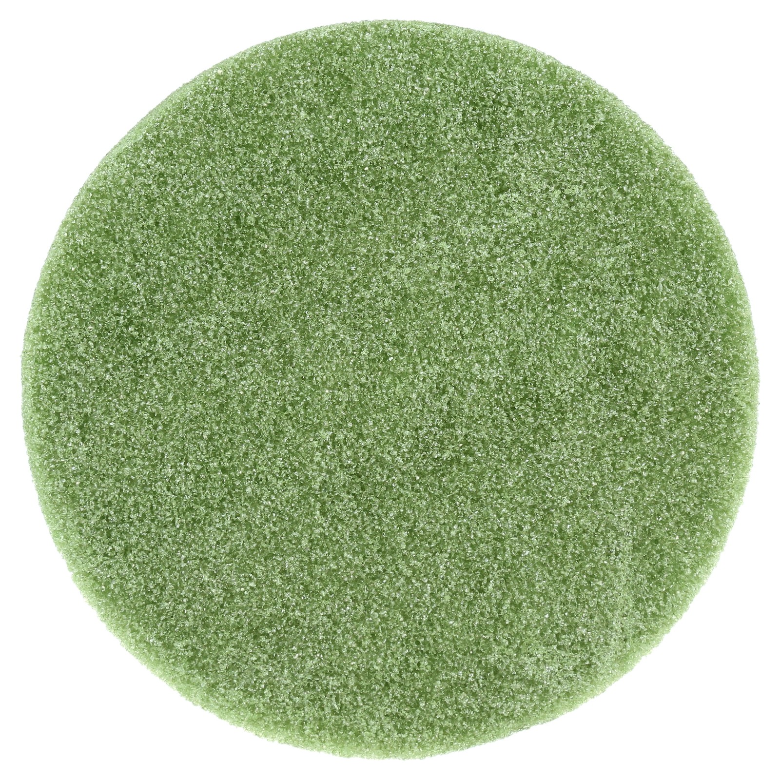 Foam Disc for Flowers Floral Arrangements 1.9 x 9.8 Inches Green 10-Pack