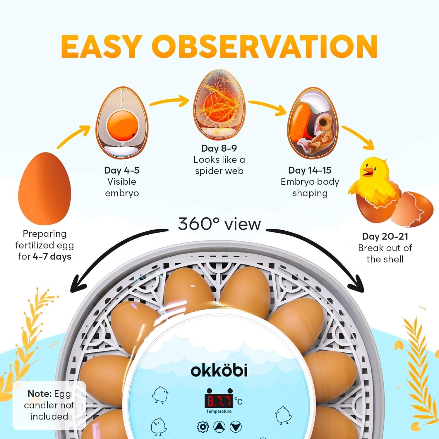 Incubators for Hatching Eggs 12 Egg Automatic Turner with Temperature Humidity