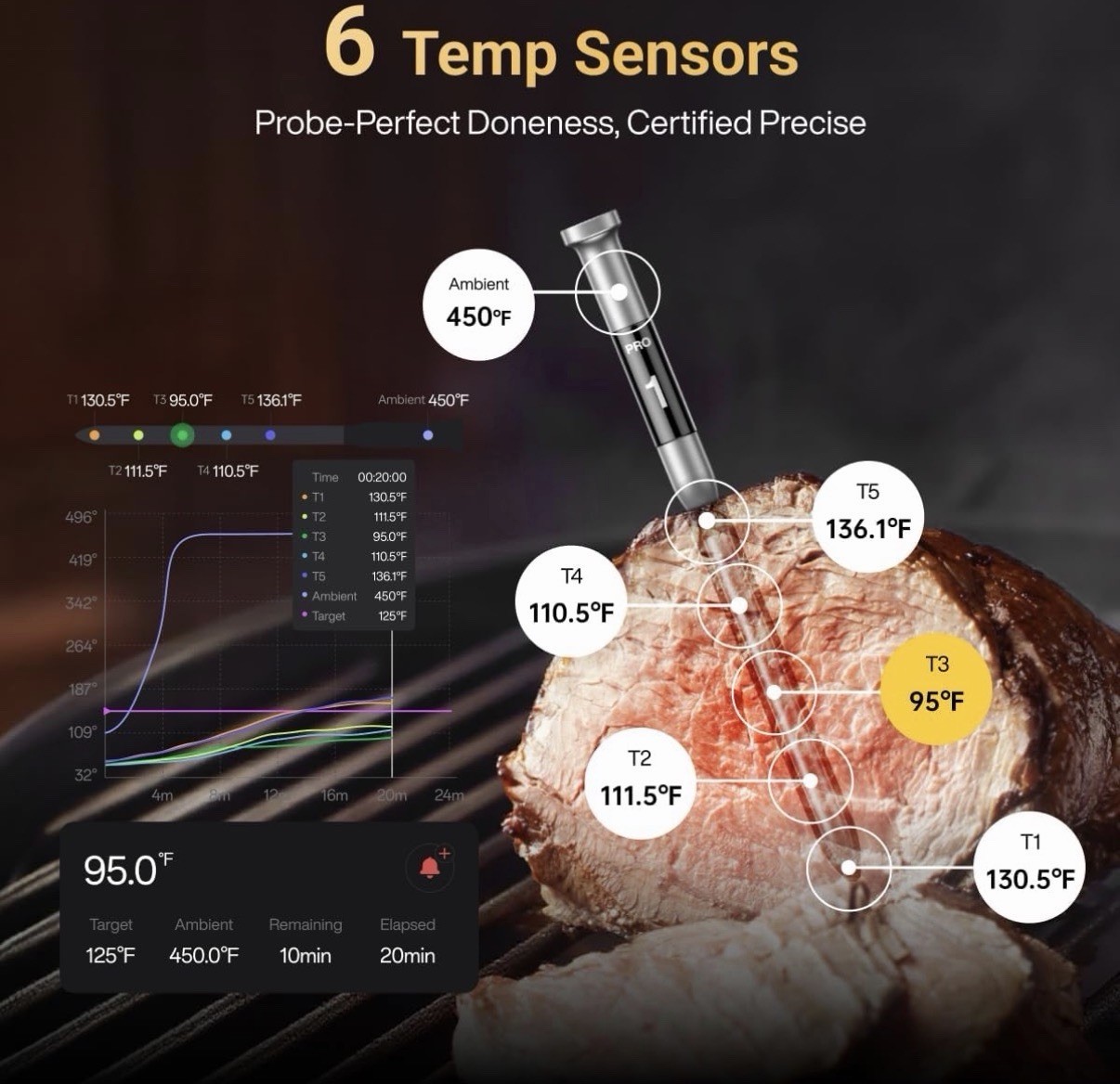 Wireless Thermometer Typhur Sync One Smart Digital WT01