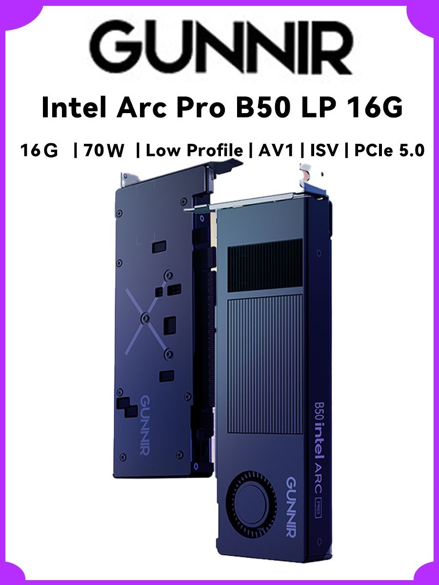 GUNNIR Arc Pro B50 Low Profile Single Slot 16GB GDDR6 PCIe AI Workstation GPU