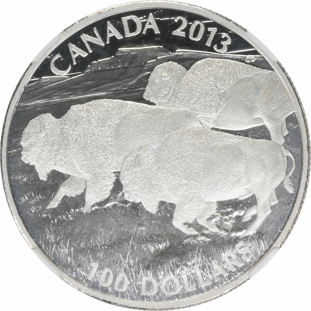 2013 Canada $100 Silver Bison PF69 Matte NGC