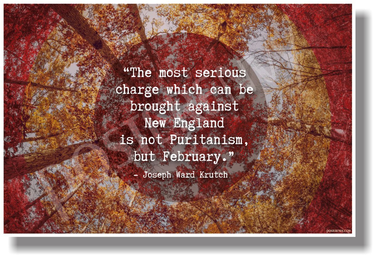 Most Serious Charge Against New England... February - NEW Funny POSTER (tr591)