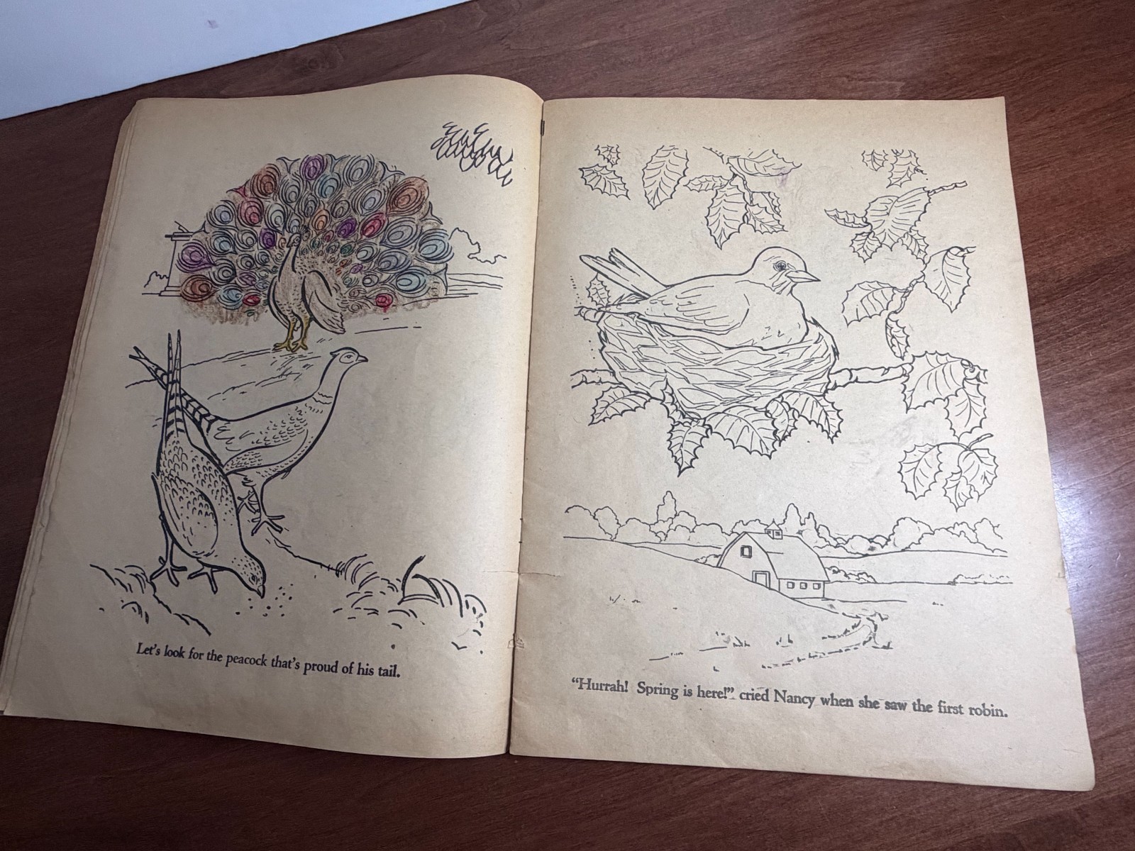 1960's Large Wise Owl Coloring book. (Q)