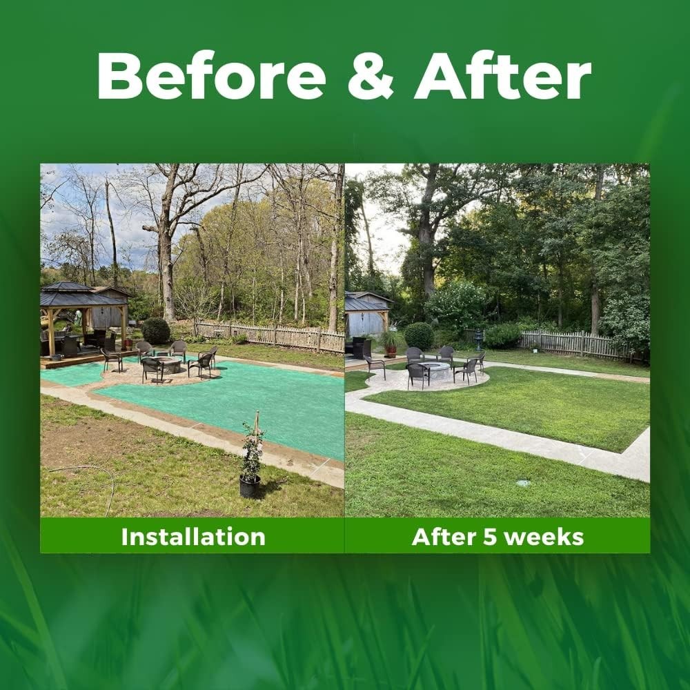 Sustainable Green Grass Seed Mat - -Round Solution for Drought Resistance