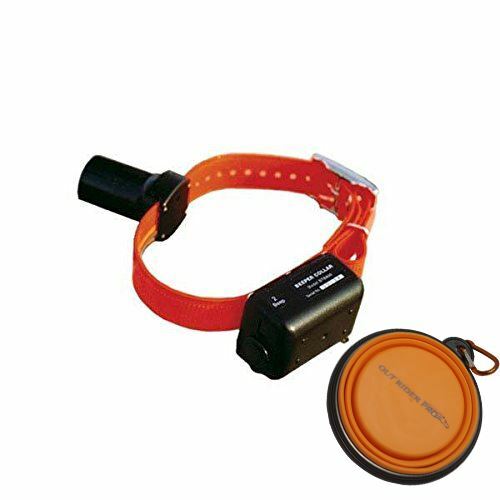 D.T. Systems Baritone Beeper Collar With FREE OPR Water Bottle