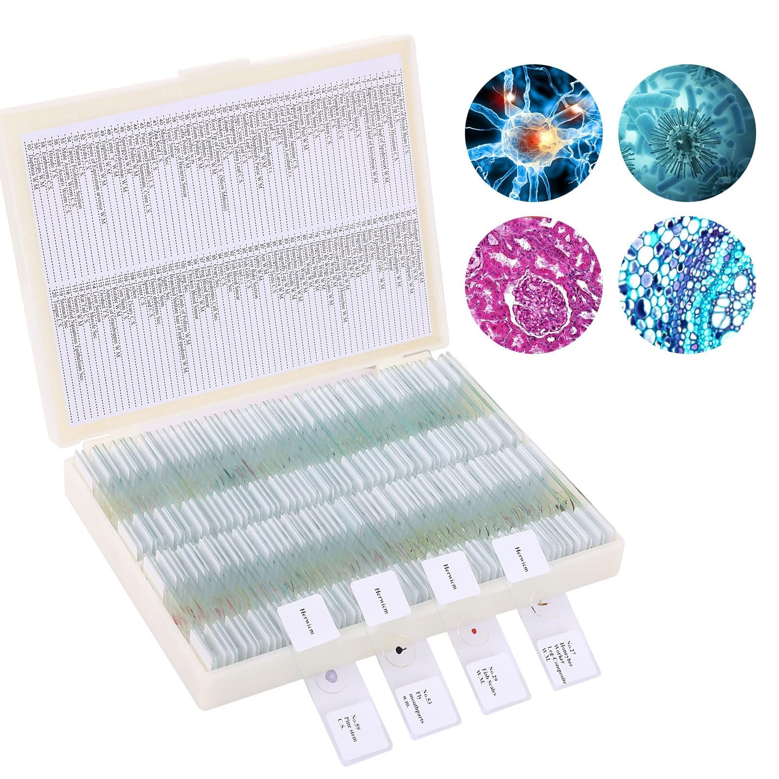 120 Microscope Slides Set with Specimens - Plant, Insect, Animal, Algae for Scie