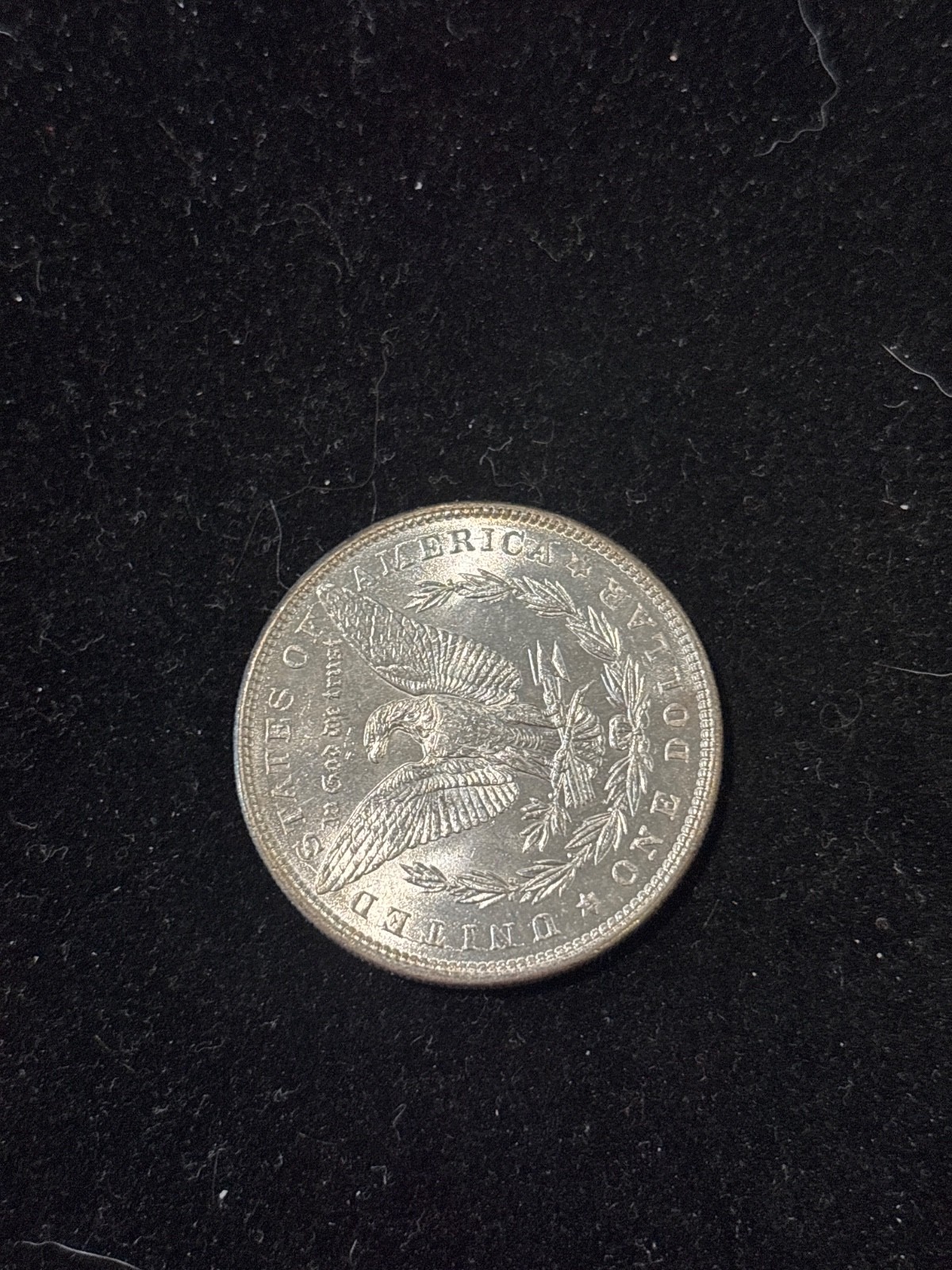 Morgan Silver Dollar 1888 P