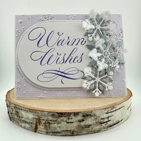 Spellbinders Die Cuts From Merry Moments Dimensional Snowflakes