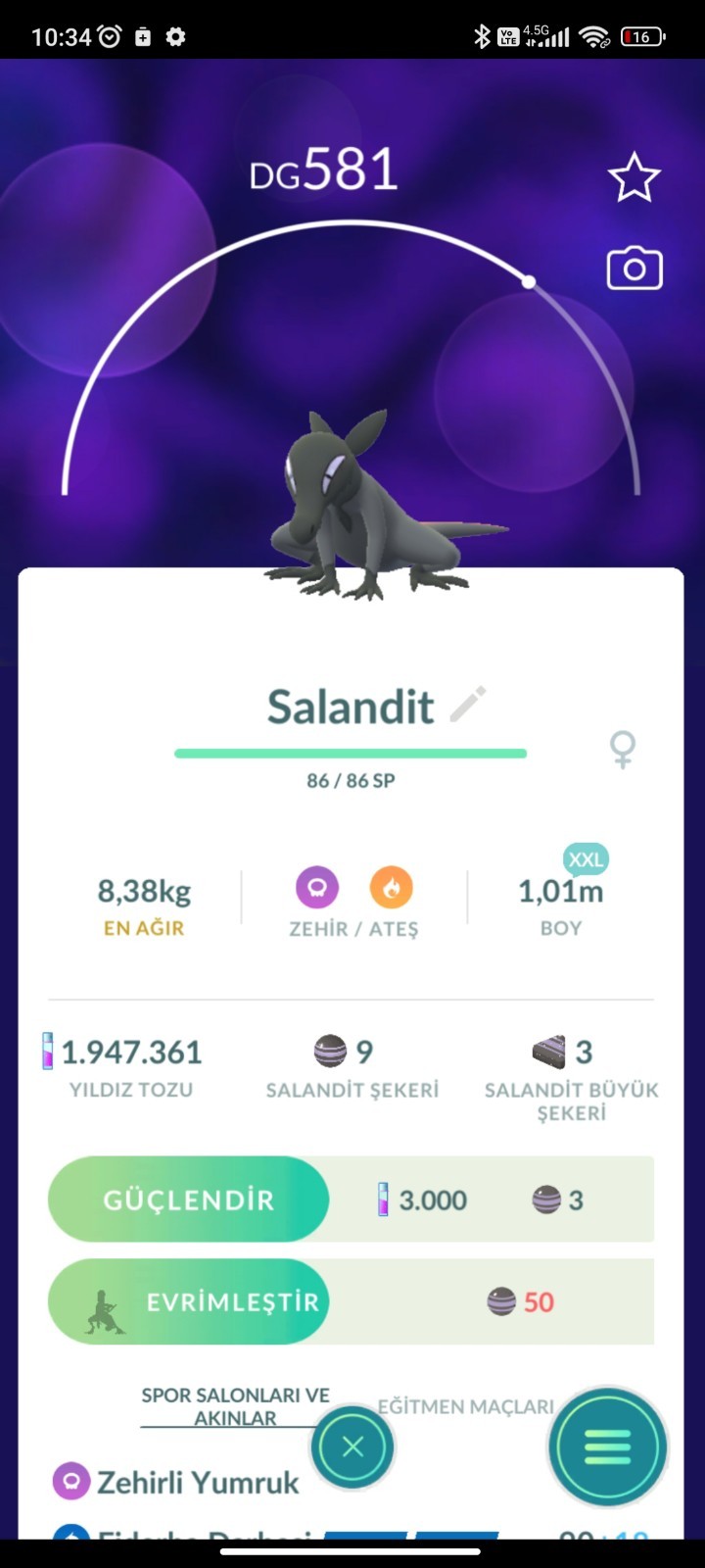 Pokemon XXL TRD Pokemon Go ✨